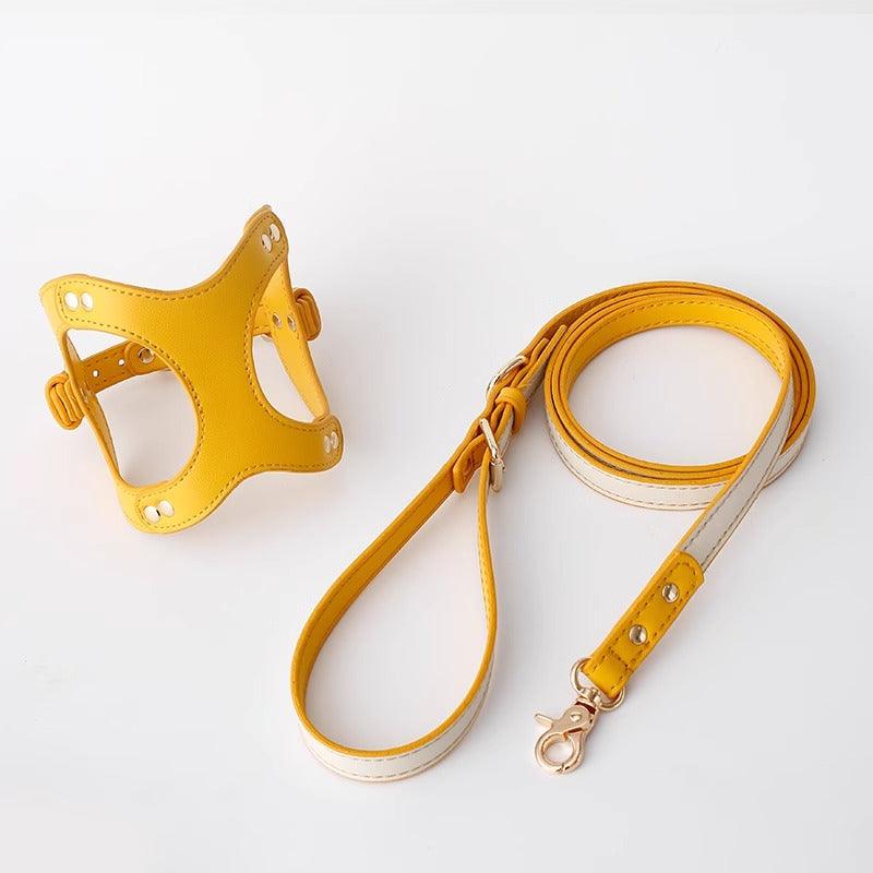 Minly® Dog Harness & Leash Set - KIKOPALS
