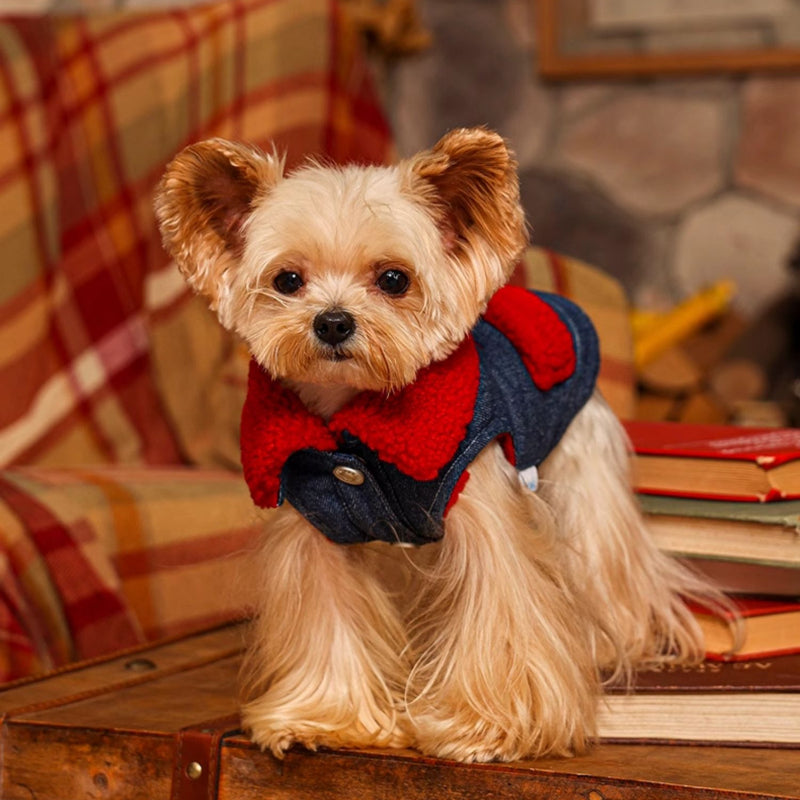 MookiPet® Retro Red Lamb Denim Vest for Dogs and Cats - Blue