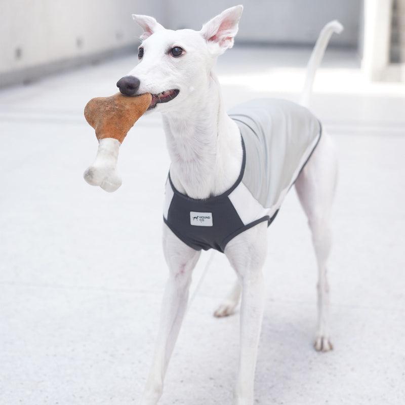 Hound Co.® Breathable Mesh Cooling Vest for Pets - KIKOPALS