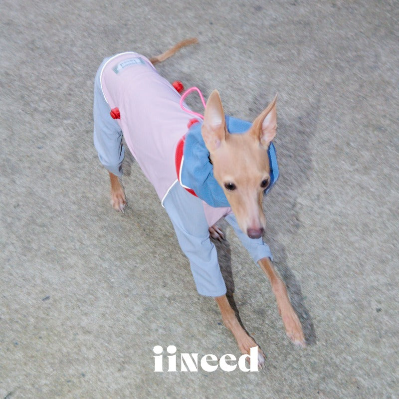 iiNeed® Waterproof Jacket Color-Block for Dogs