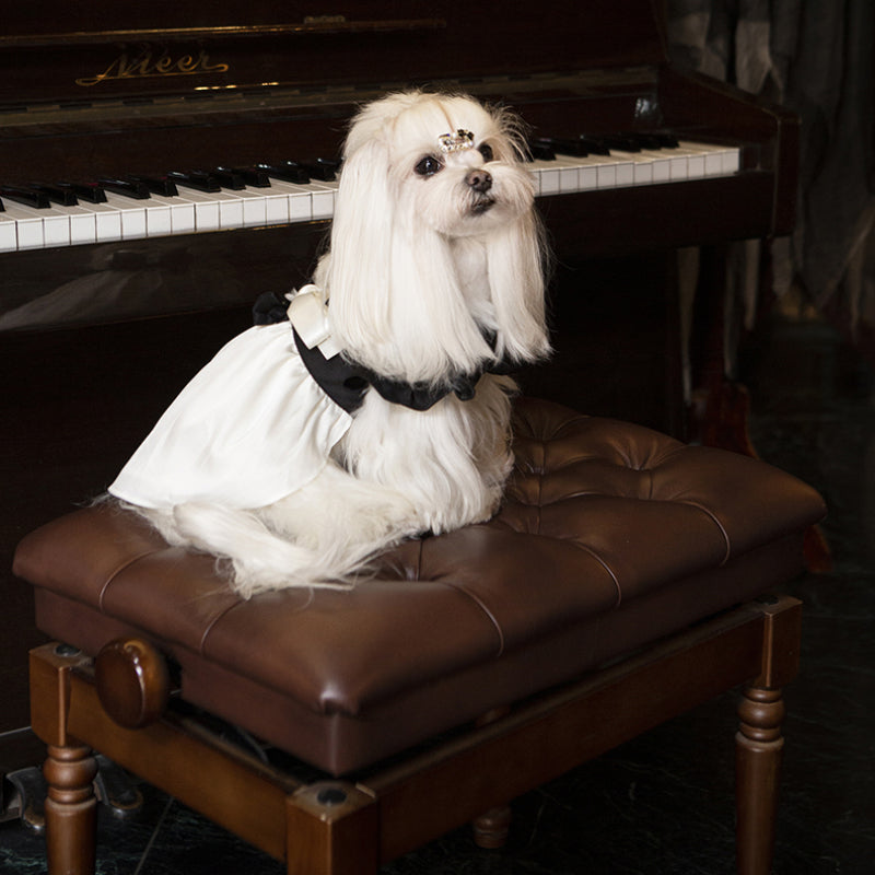 UNIPETISM® Satin Bow Princess Dress for Cats & Small Dogs