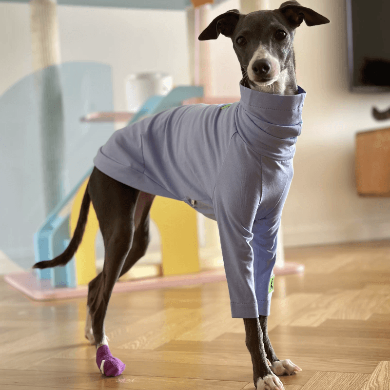 A HUNTING DOG® Dog fitted T-shirt - KIKOPALS