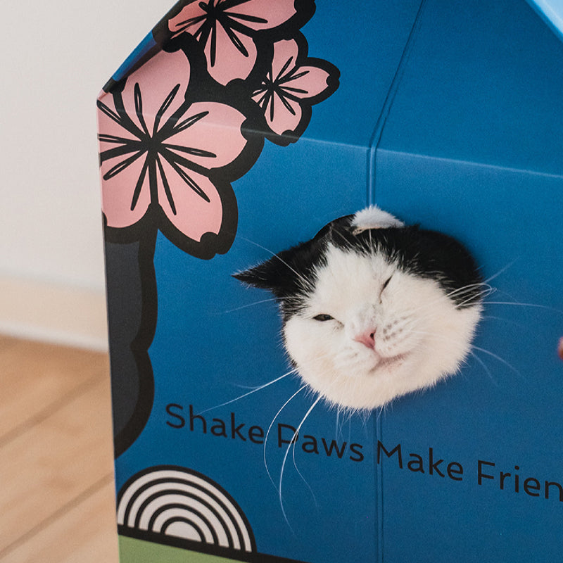 PAWZCITY® Potted Plant Series Cat Box & Scratcher