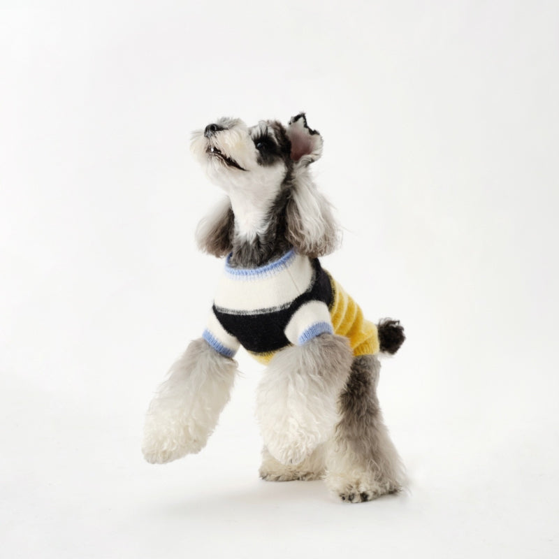 Nuoz® Gradient Color Block Sleeveless Knit Vest for Dogs