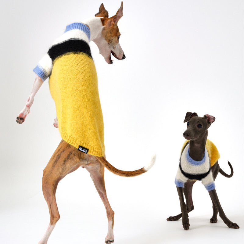 Nuoz® Gradient Color Block Sleeveless Knit Vest for Dogs