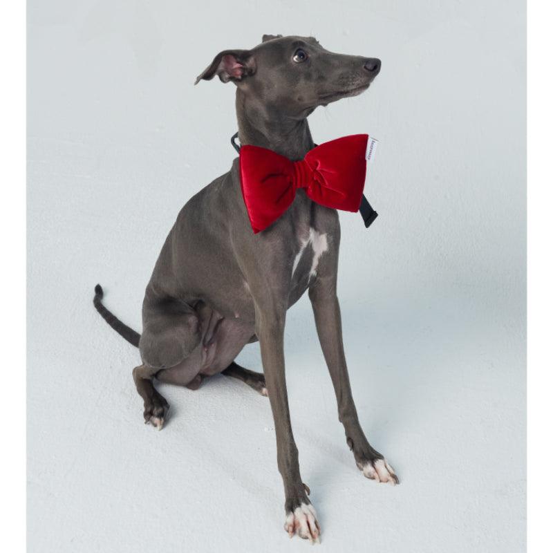 LazyEazy® Velvet Pet Bow Tie - KIKOPALS