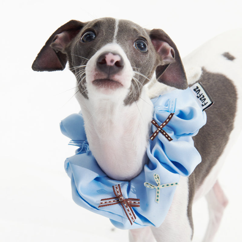 FuzFuz® Adorable Bow Bandana for Dogs & Cats