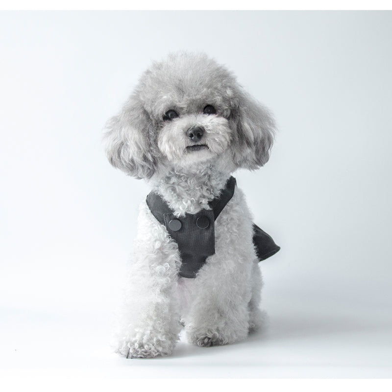 MARSHMALLOW® Cloud Pattern Silk Dress for Dogs