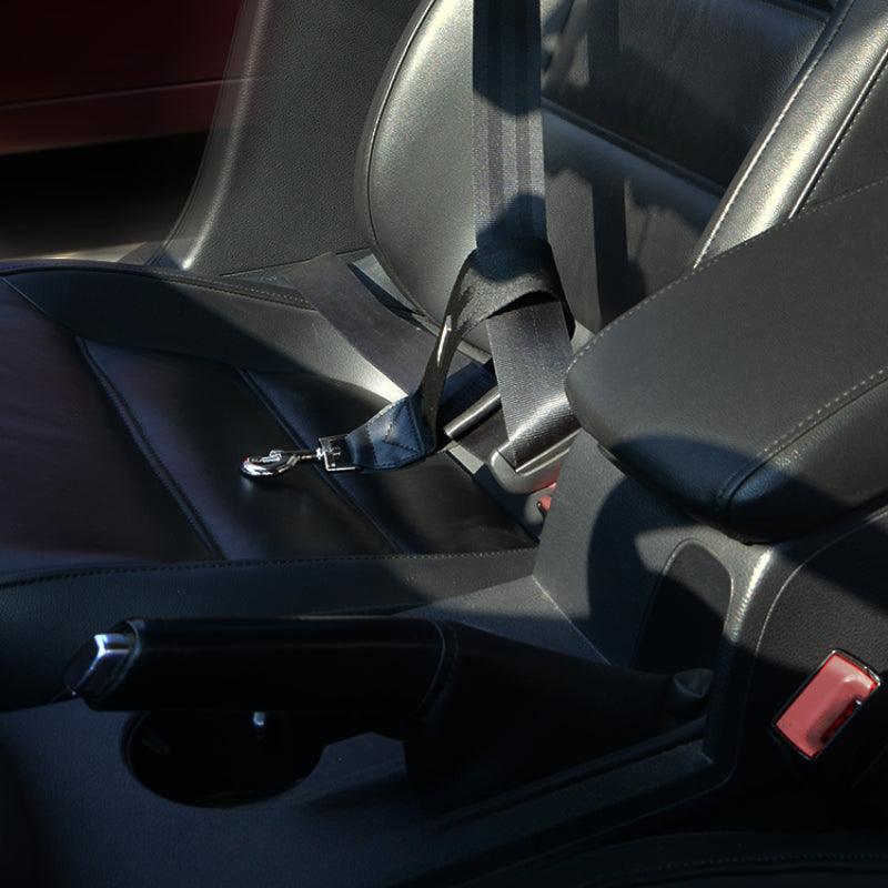 BeauGo® Pet Seat Belt - KIKOPALS