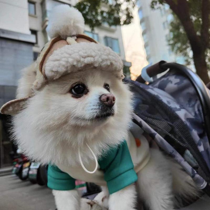 KIKOPALS® Pet Aviator Hat & Pearl Sunglasses - KIKOPALS