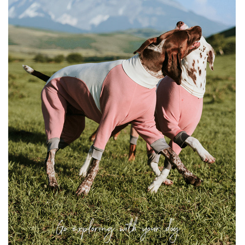BlackDoggy® Merino Four-Legged Warmth Suit for Dogs