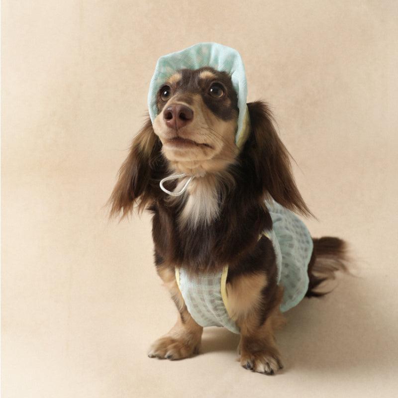 LazyEazy® Plaid Pet Outfit - KIKOPALS