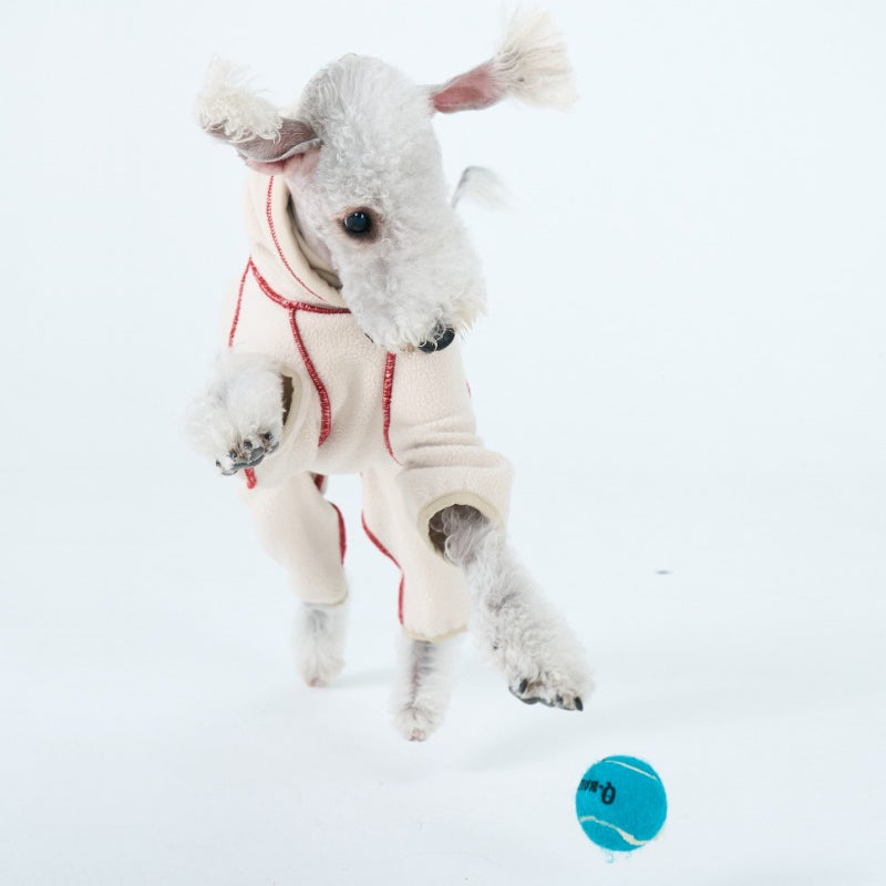 egge® Color-Block Hoodie for Dogs