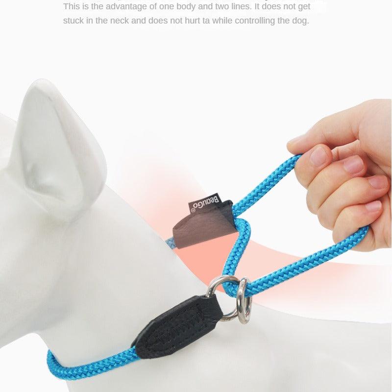 BeauGo® Pet Training Collar - KIKOPALS