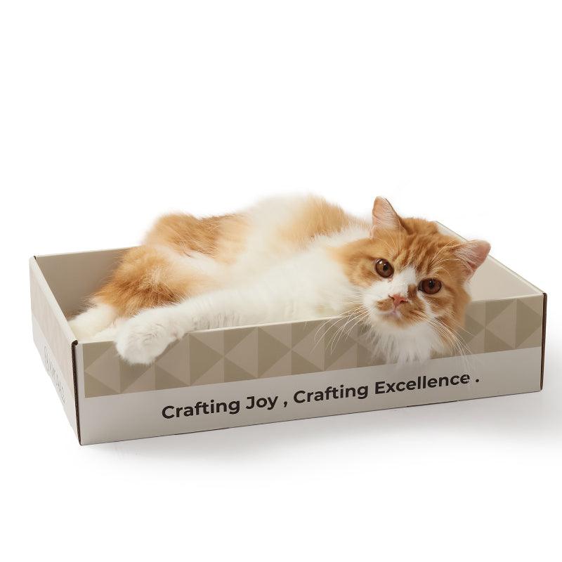 KIKOPALS® Boxed Flat for Cats - KIKOPALS