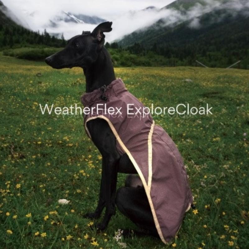 BBPRODUCTION® All-Season Adjustable Dog Raincoat - KIKOPALS