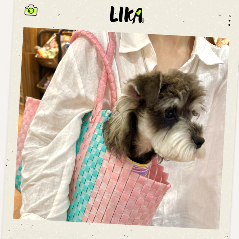 LIKAPAWS® Woven Pet Backpack For Outdoor