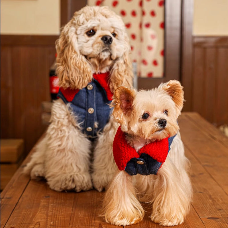 MookiPet® Retro Red Lamb Denim Vest for Dogs and Cats - Blue