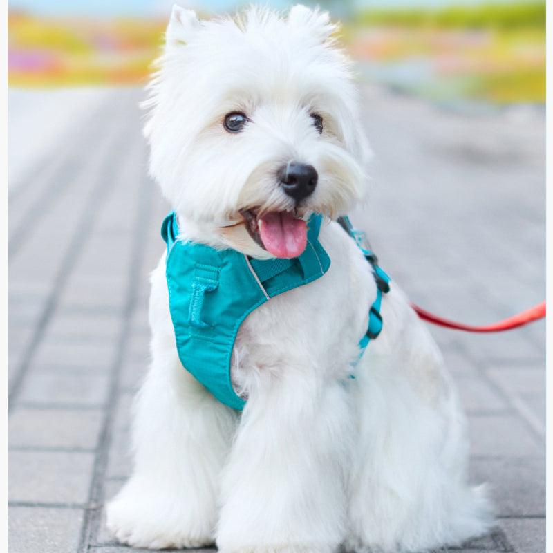 TOUCHDOG® Airsoft Harness & Leash Set - KIKOPALS