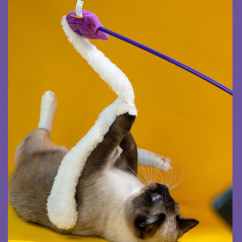 PETSVILLE® "Eerie Night Stroll" Cat Teasers - KIKOPALS