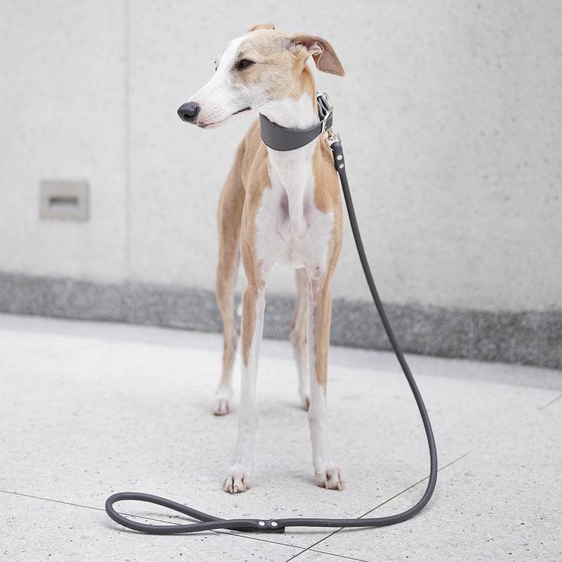 Hound Co.® Vegan Series Pet Collar & Leash Set - KIKOPALS