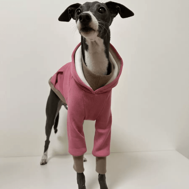 A HUNTING DOG® Dog Faux Collar Hoodie - KIKOPALS