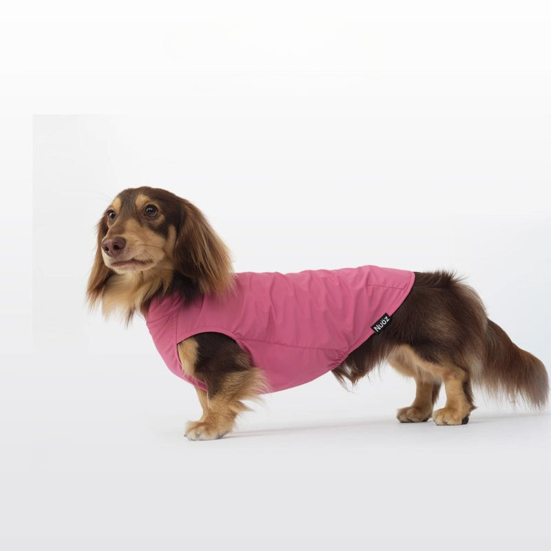Nuoz® Pet Cooling Base Layer with Color Block Design for Dogs