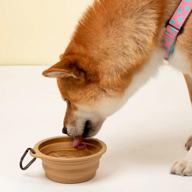 HiDREAM® Pet Silicone Folding Bowl - KIKOPALS