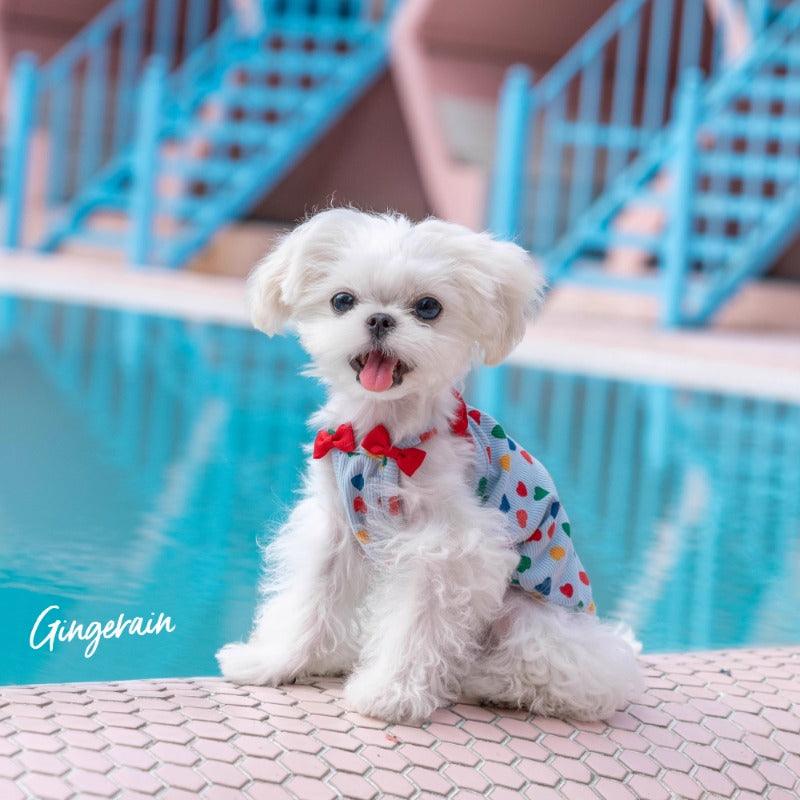 GINGERAIN® Blue Bow Pet Vest - KIKOPALS