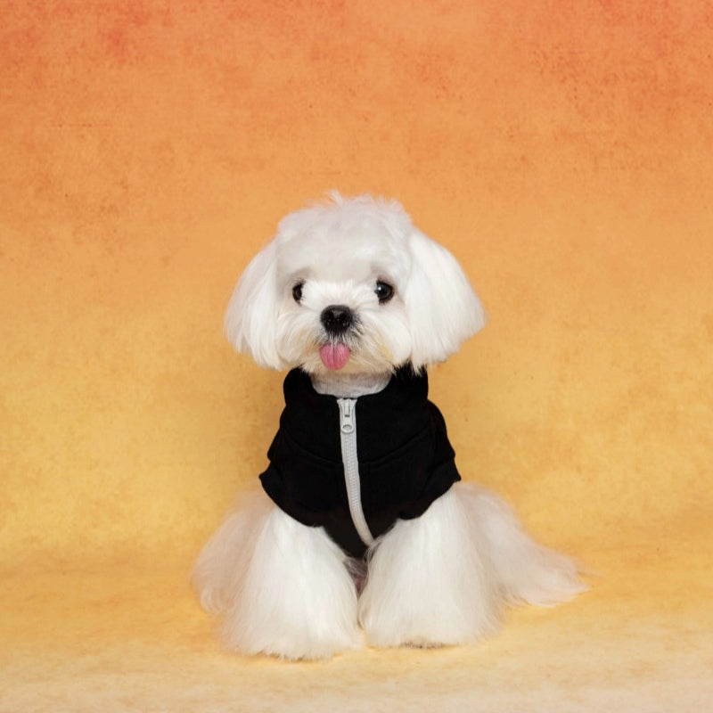 PalettePet® Fashionable Pet Hoodie – Black for Dogs