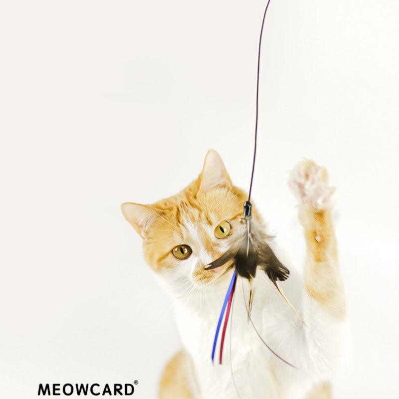 MEOWCARD® Feathered Cat Teaser - KIKOPALS