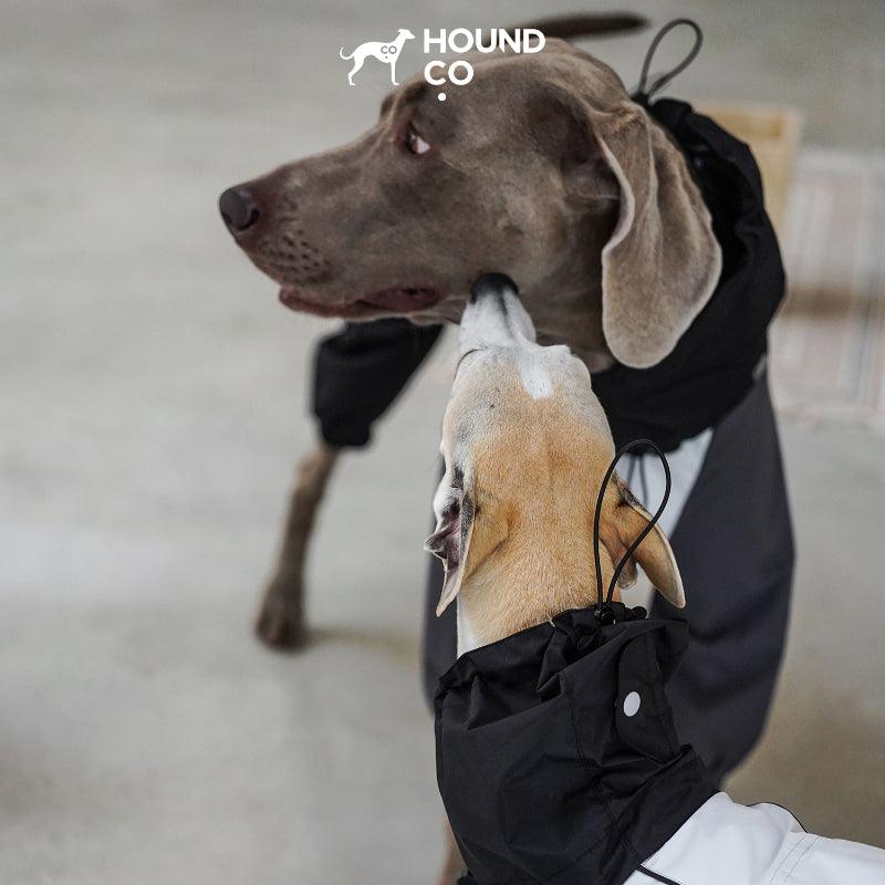 Hound Co.® Lightweight Four-Leg Barrier Raincoat for Pets - KIKOPALS