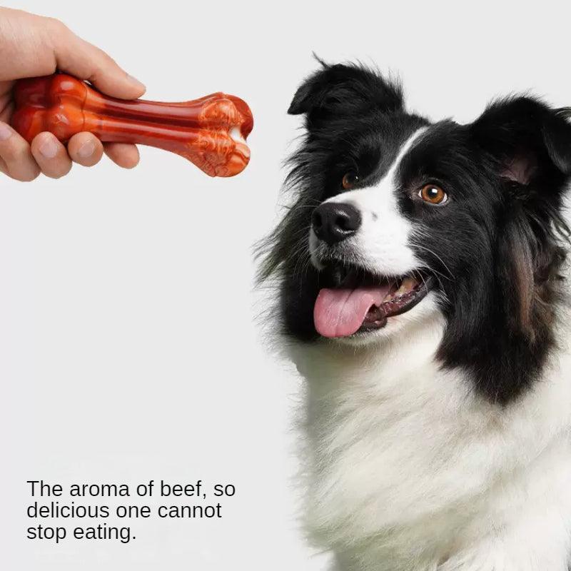 MoovaLab® Durable Chew Toy Bone for Dogs - KIKOPALS