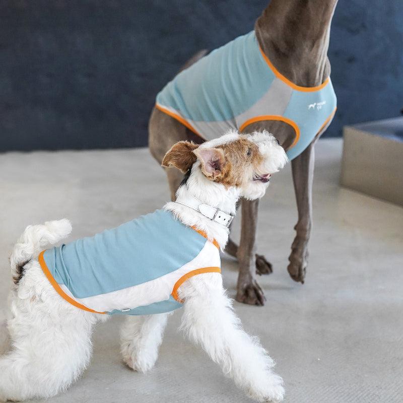 Hound Co.® Lightweight Cooling Vest for Pets - KIKOPALS