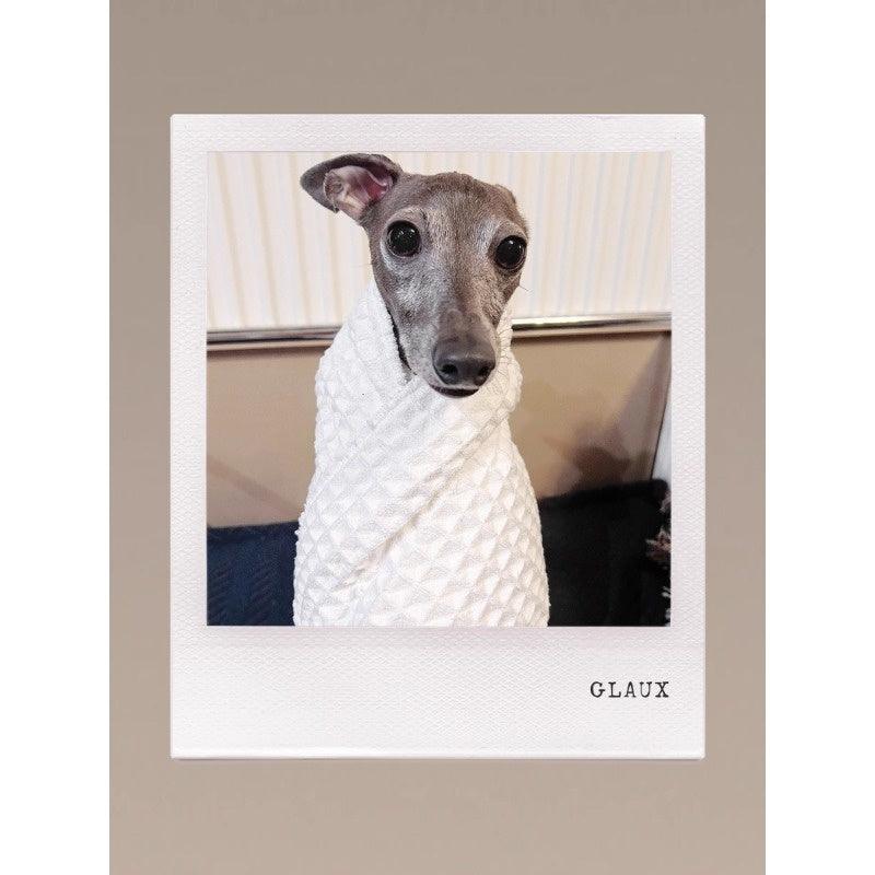 GASU® Ultra-Absorbent Pet Towel Blanket - KIKOPALS