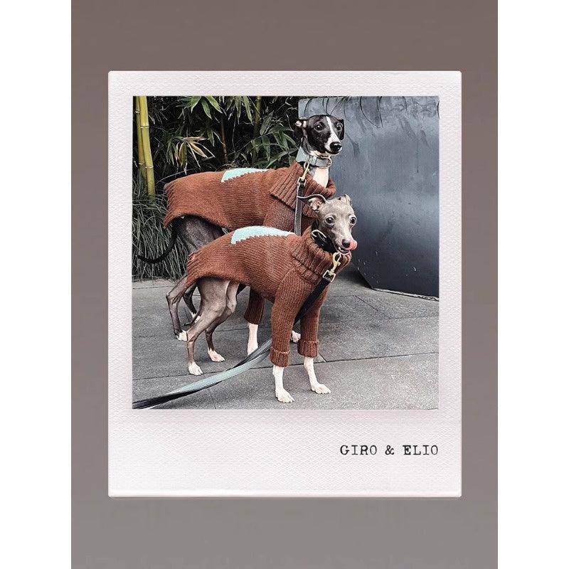 GASU® Chunky Wool Dog Two-Legged Sweater - KIKOPALS