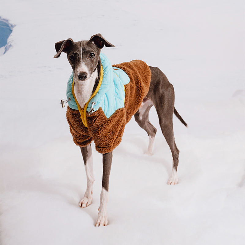 ZEZE® Windproof Pet Jacket for Small Dogs