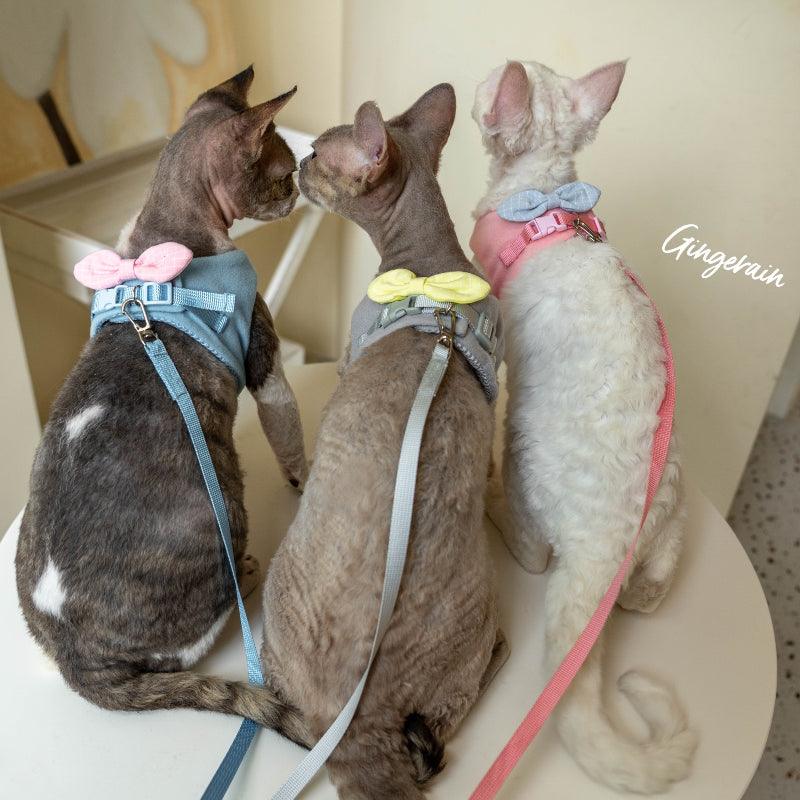 GINGERAIN® Cat Harness & Leash Set - KIKOPALS