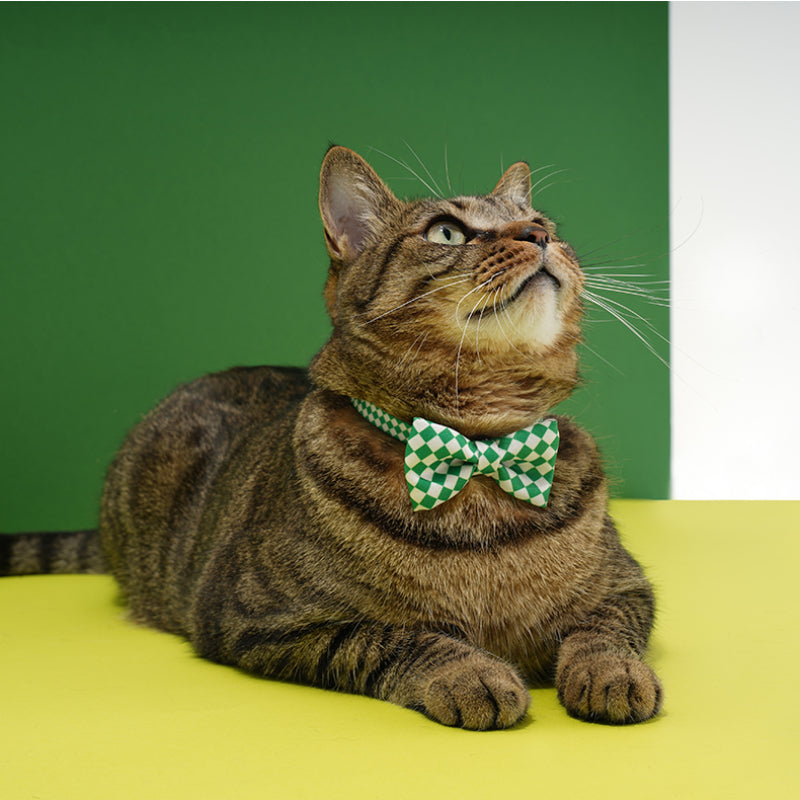 ZEZE® Checked Pet Collar for Cats & Small Dogs