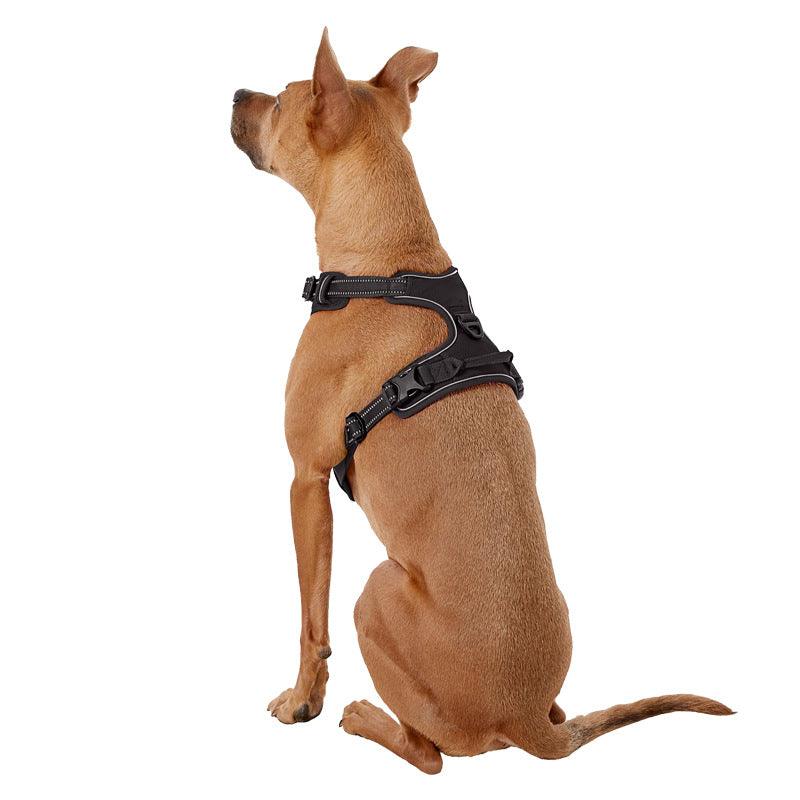 KIKOPALS® No-Pull Dog Harness - KIKOPALS