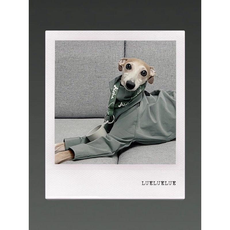 GASU® Sleek Nylon Whippet Dog Outfit - KIKOPALS