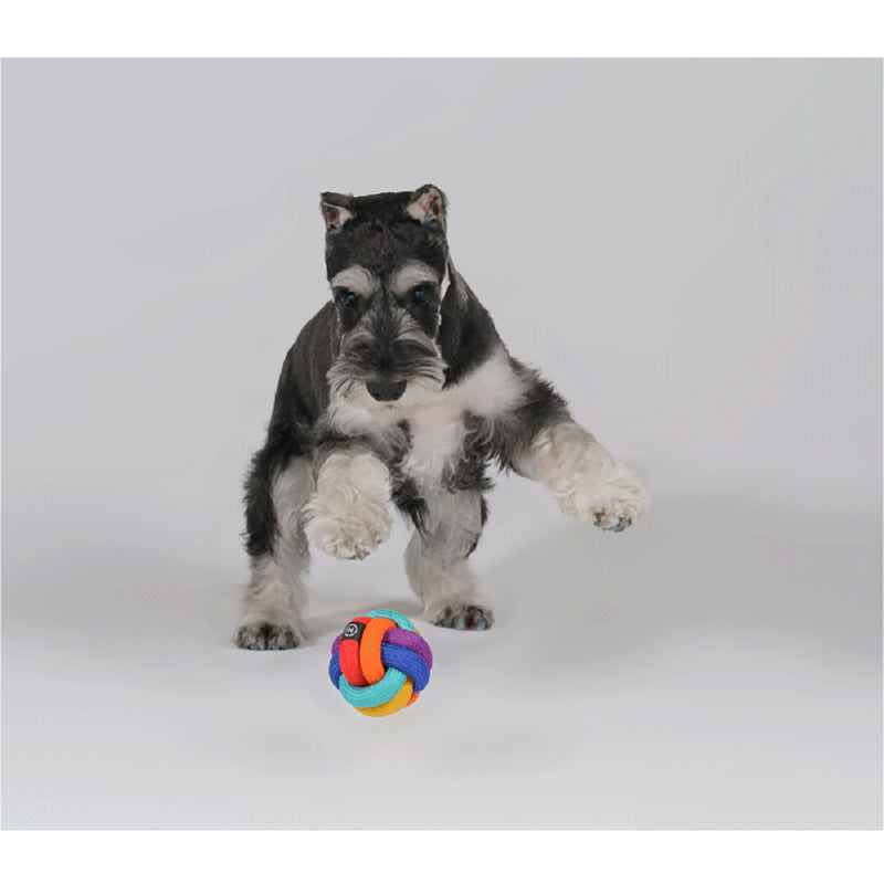 PAWZCITY® Rainbow Ball Pet Toy