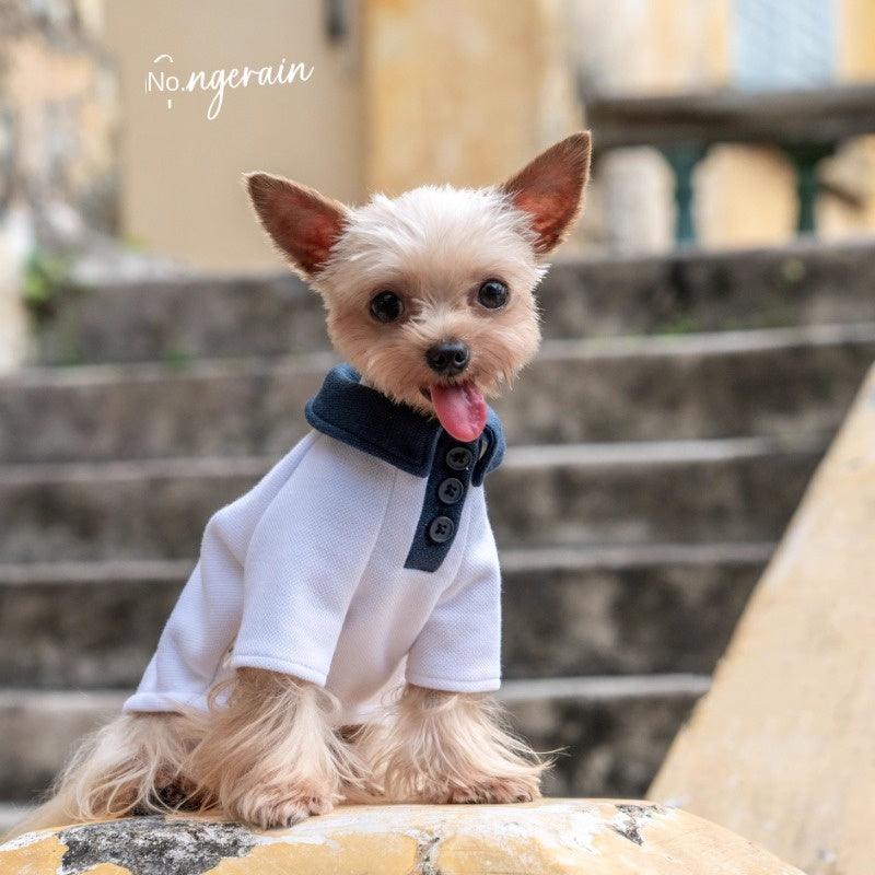 GINGERAIN® White and Navy Pet Polo Pet Shirt - KIKOPALS