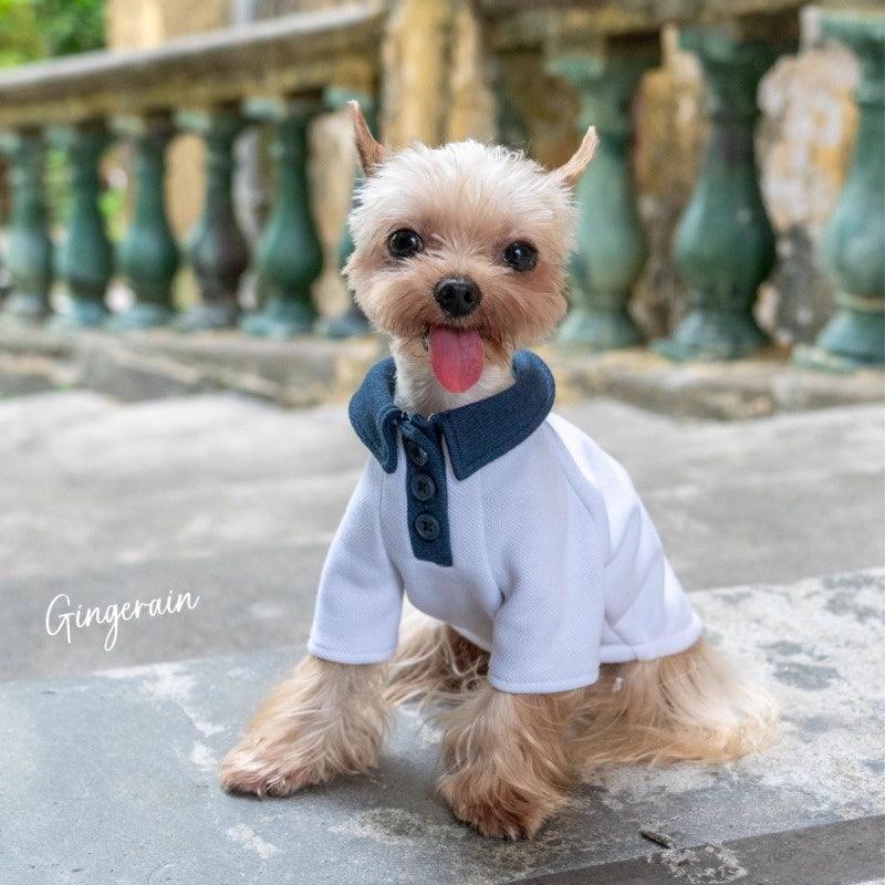 GINGERAIN® White and Navy Pet Polo Pet Shirt - KIKOPALS