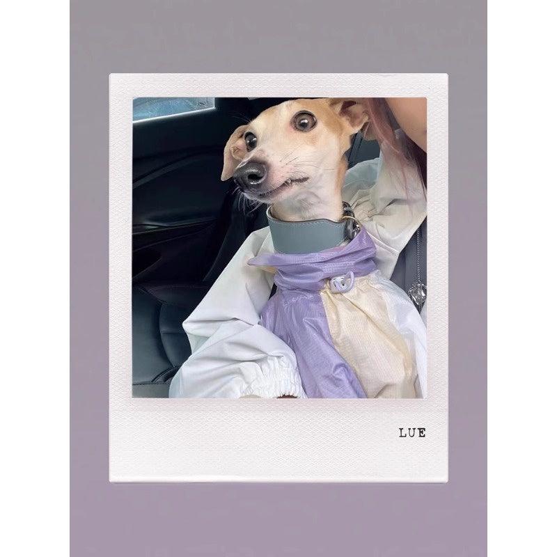 GASU® Cloudy Purple Color-Blocked Raincoat - KIKOPALS