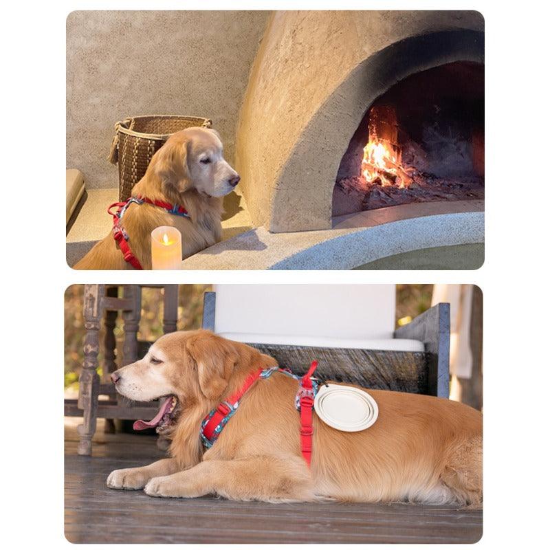 THREEDOGS® Pet Folding Bowl - KIKOPALS