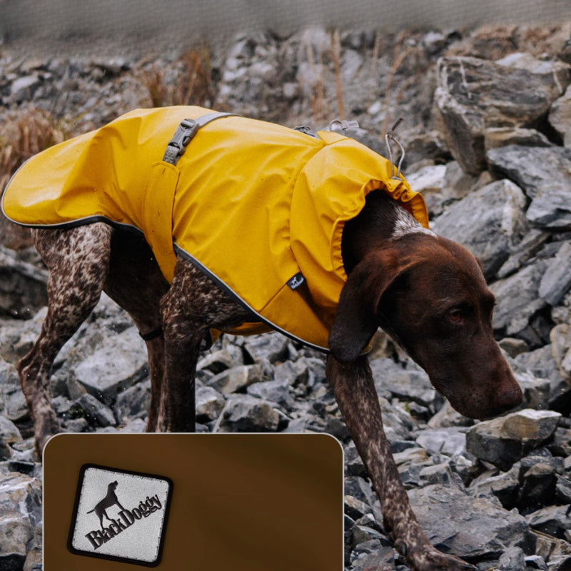 BlackDoggy® Puffer PU Raincoat for Dogs – Waterproof & Windproof