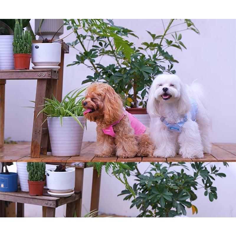 Pawfect Co® Pet Denim Vest - KIKOPALS