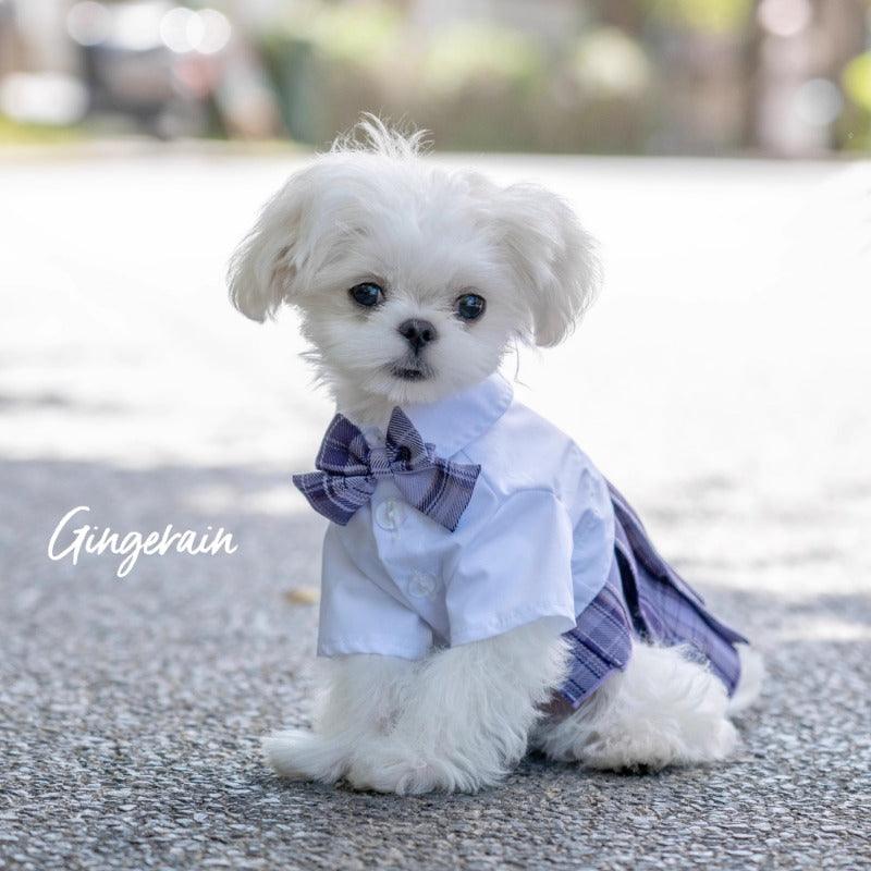 GINGERAIN® Pet JK Uniform School Dress - KIKOPALS