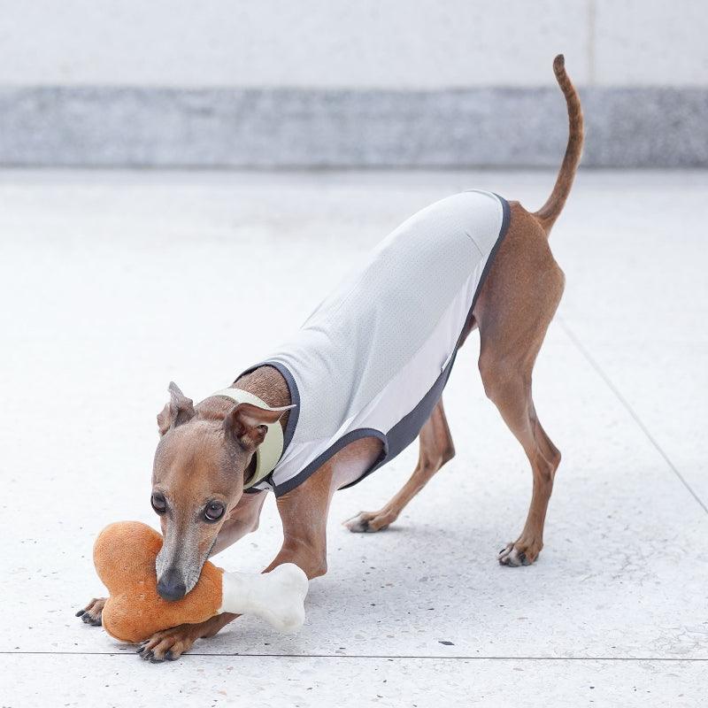 Hound Co.® Breathable Mesh Cooling Vest for Pets - KIKOPALS